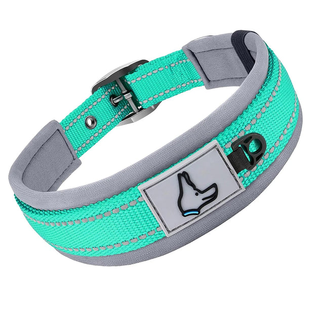The Guardian Comfort Collar