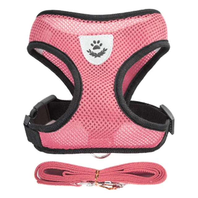 Pink dog harness with black straps and a matching leash on a white background