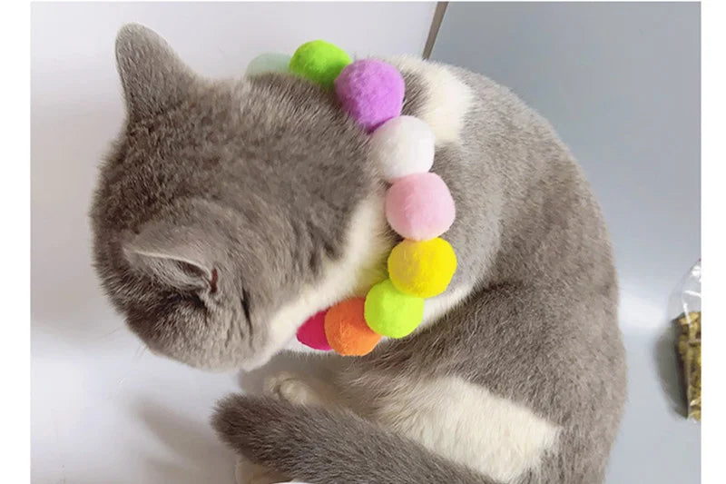 Pom Pom Bloom Collar 🌈🐾