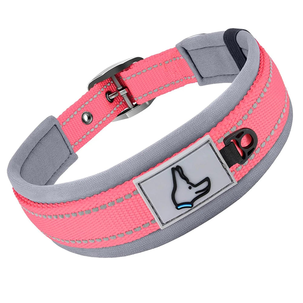 The Guardian Comfort Collar