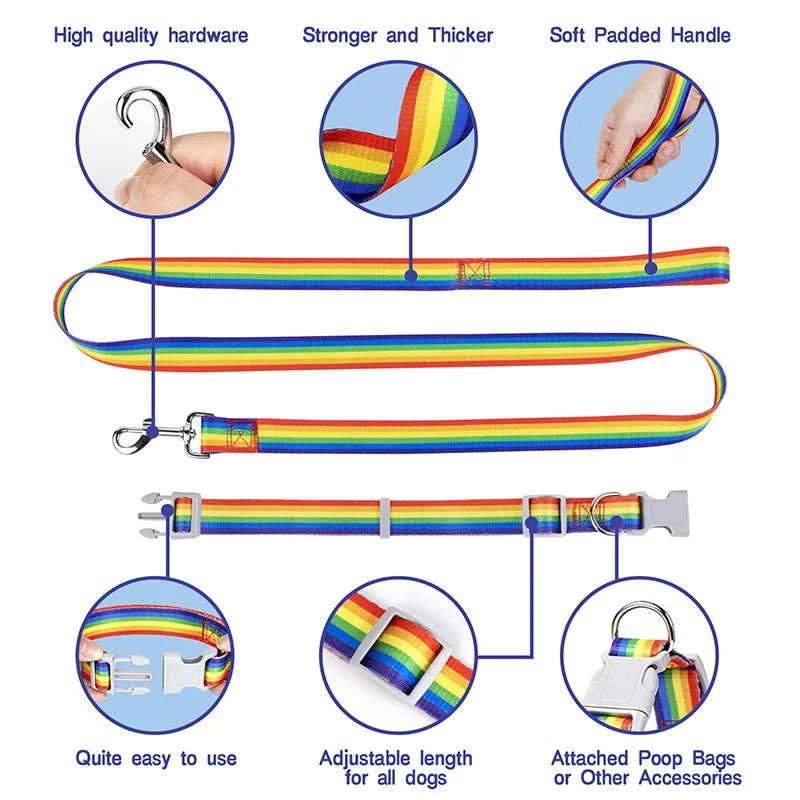 Rainbow dog leash with features highlighted on a white background