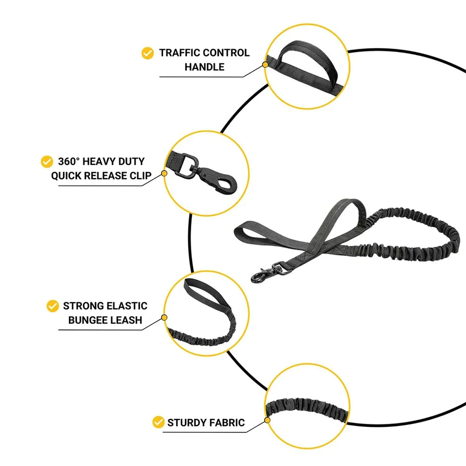 Diagram of a black bungee leash with labeled features on a white background