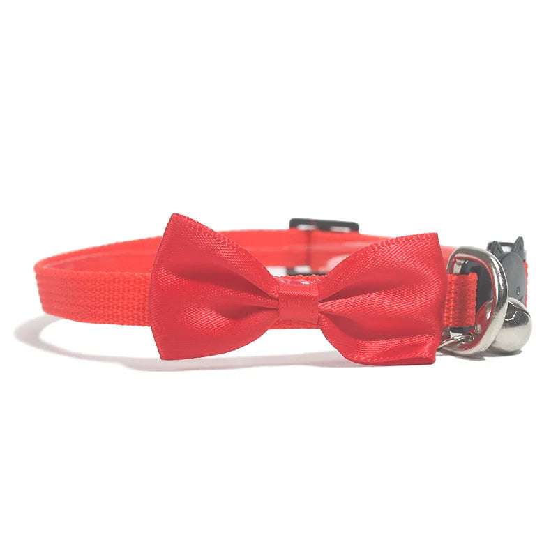 SafeNPlay Breakaway Collar