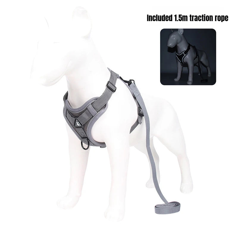 BreezeGuard Mesh Harness & Leash Set