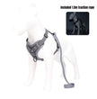 BreezeGuard Mesh Harness & Leash Set