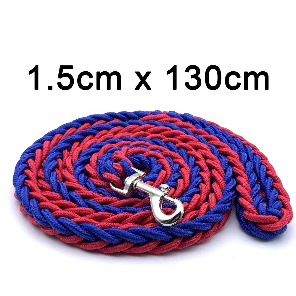 Red and blue braided leash with a metal clip on a white background, branded 'PetCloud'.