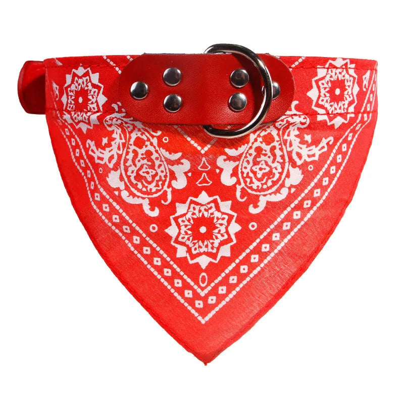 ScarfTail Collar | Bandana & Collar Combo for Stylish Pups
