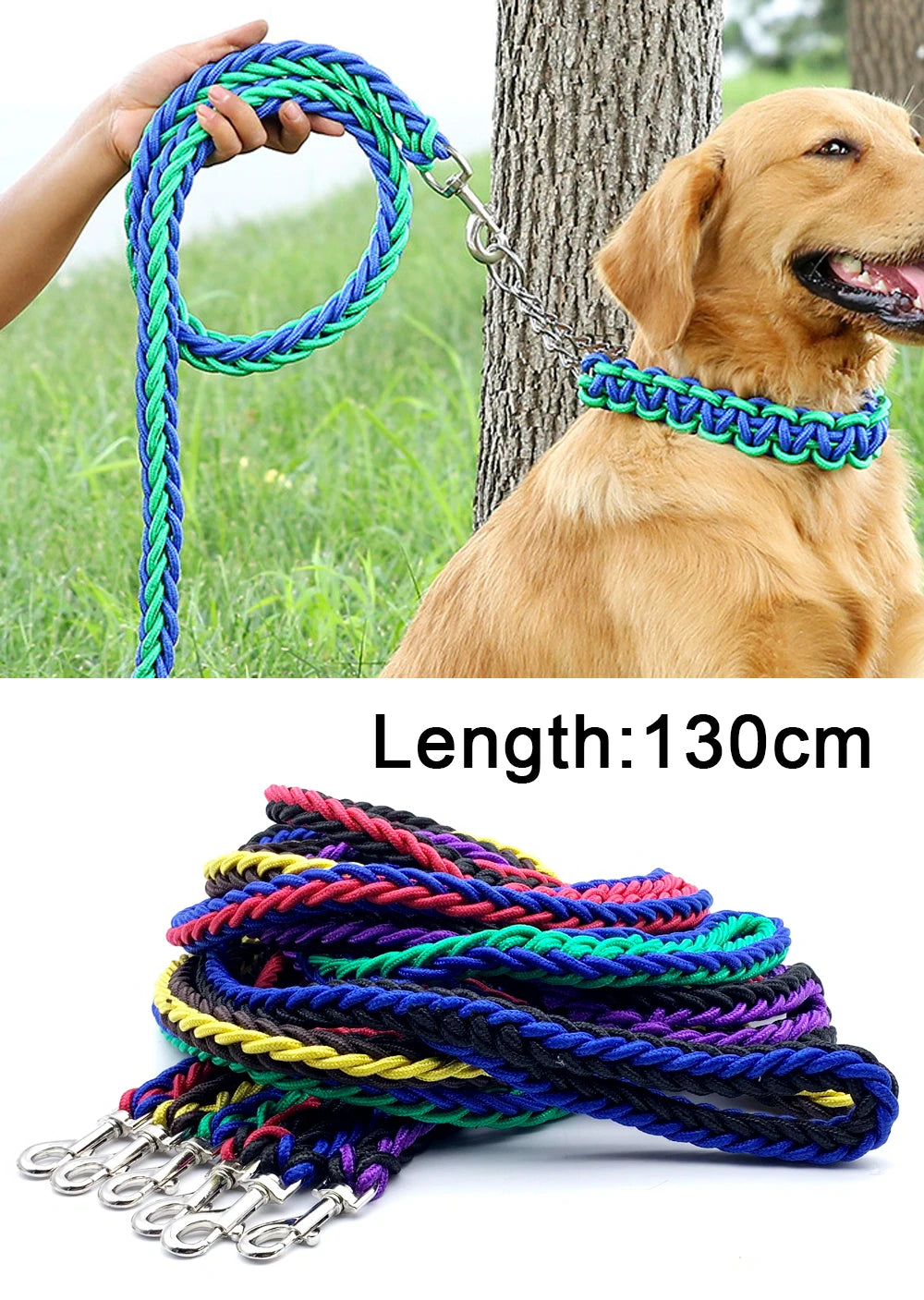 Dog leash with colorful braided design, held by a person and around a dog's neck, with a tree in the background.