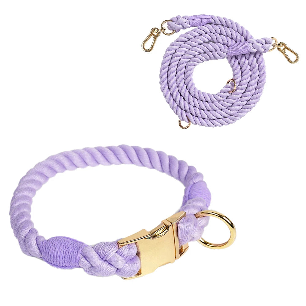 Purple braided dog leash and collar with gold hardware on a white background