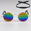 PUPPY: STYLE – Colorful Pet Glasses Collection 😎