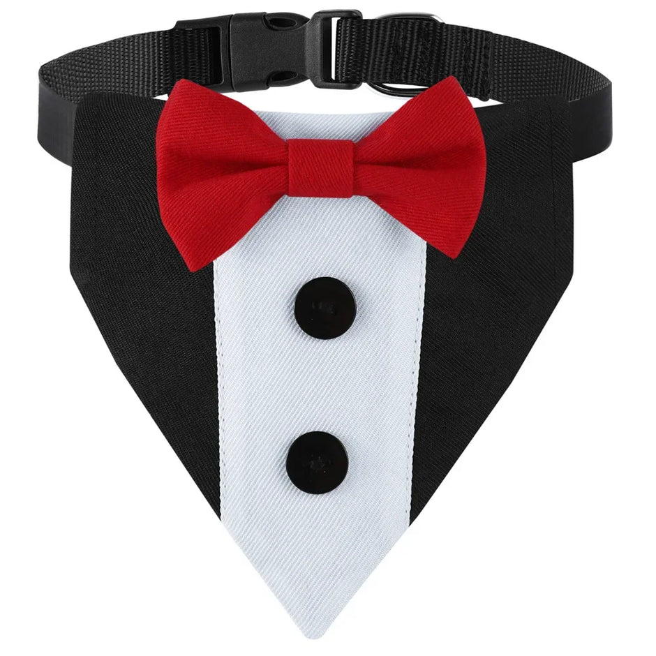 Formal Pup Tuxedo Collar 🐕🦺🎩