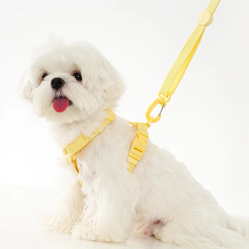 White dog wearing a yellow harness and leash with 'ONECUTE' branding on a white background