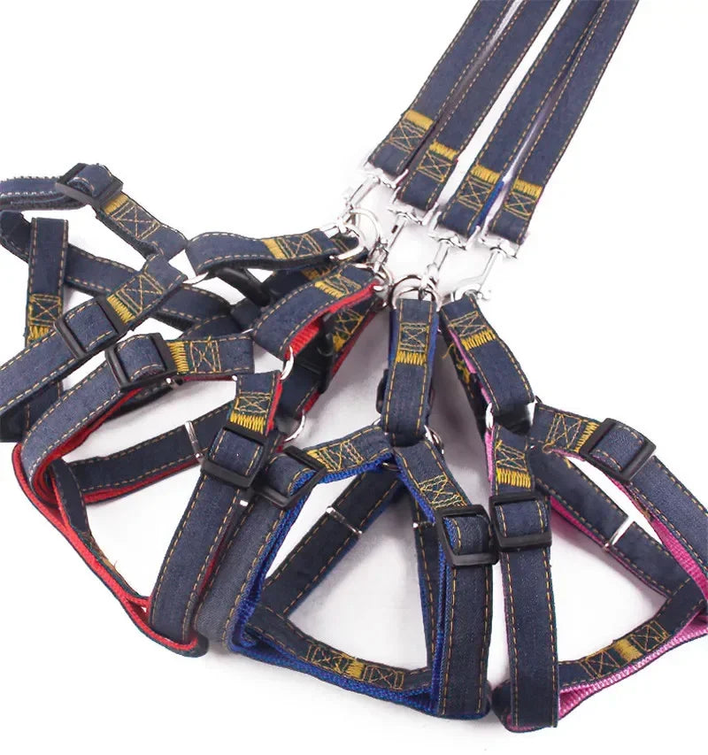 Sparkle Denim Harness & Leash – Adventure Ready!