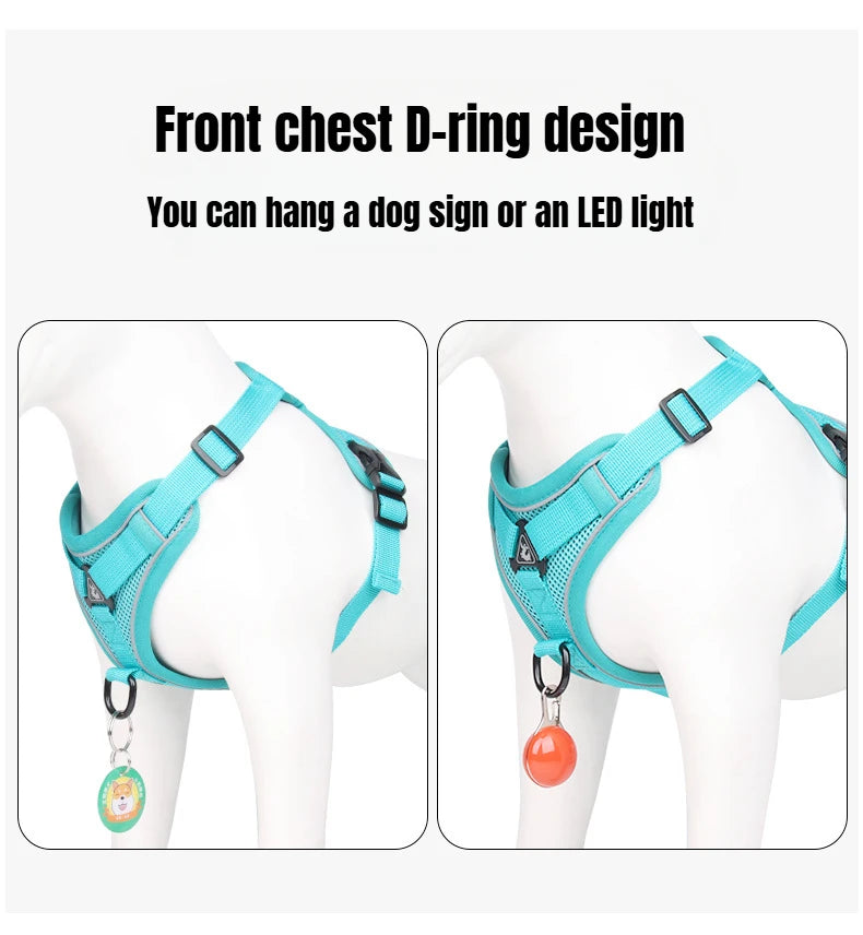 BreezeGuard Mesh Harness & Leash Set