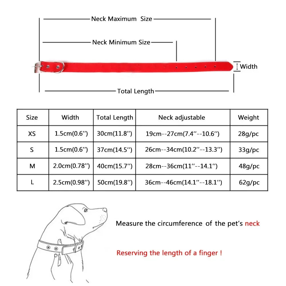 Measurement chart for a dog collar with dimensions and weight details.