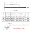Measurement chart for a dog collar with dimensions and weight details.