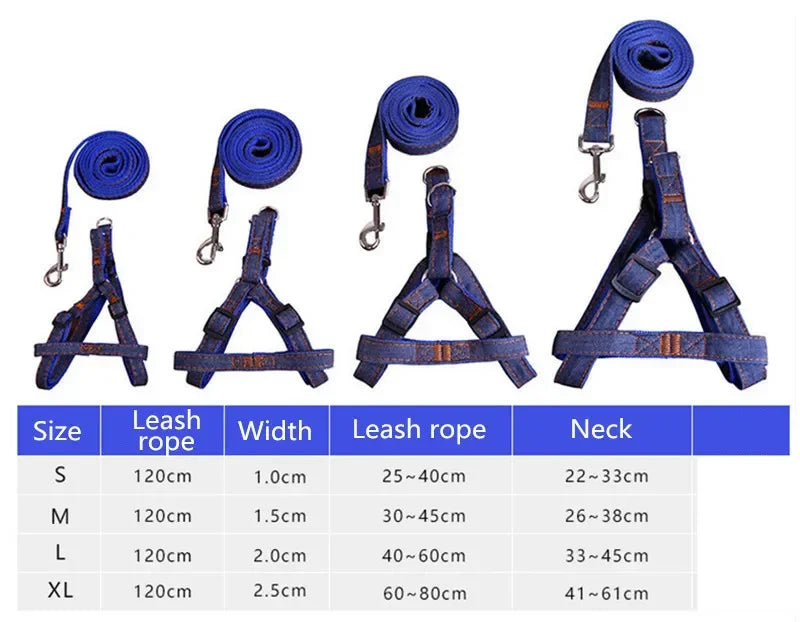 Sparkle Denim Harness & Leash – Adventure Ready!