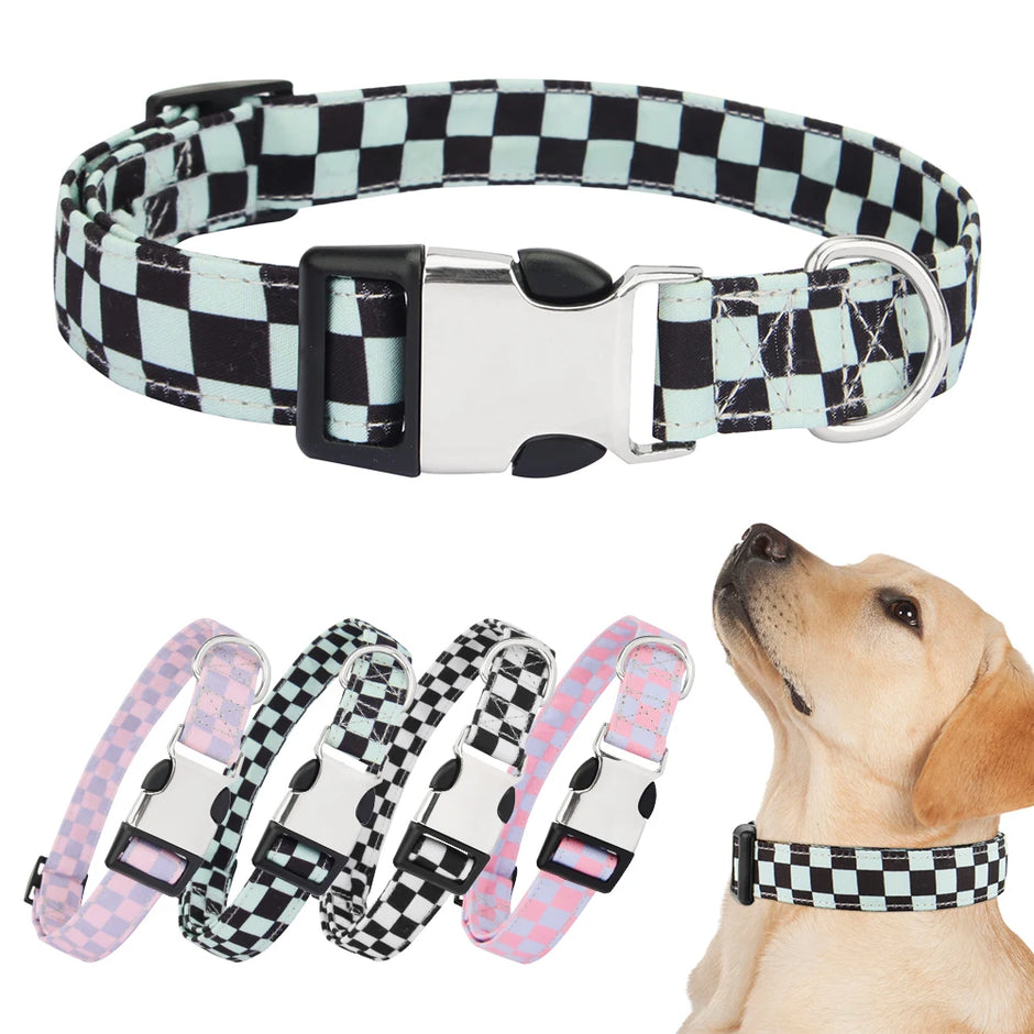 Checkered dog collar with a dog wearing it on a white background