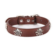 Brown leather dog collar with skull designs on a white background