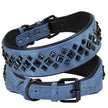 The Guardian Spiked Collar | for Large & XL Breed Dogs