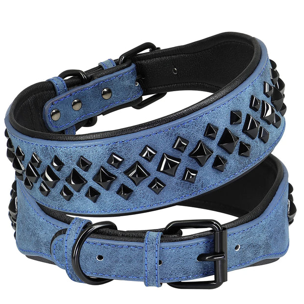 The Guardian Spiked Collar | for Large & XL Breed Dogs