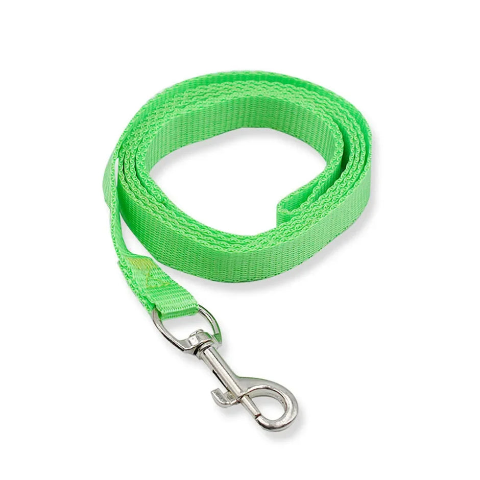 Green dog leash with a metal clip on a white background