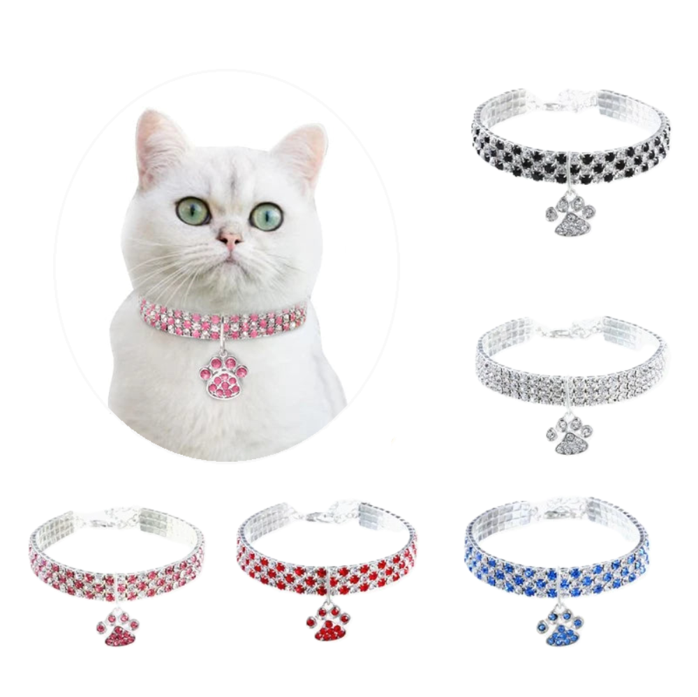 White cat wearing a pink choker with paw design, surrounded by various colorful chokers on a white background.