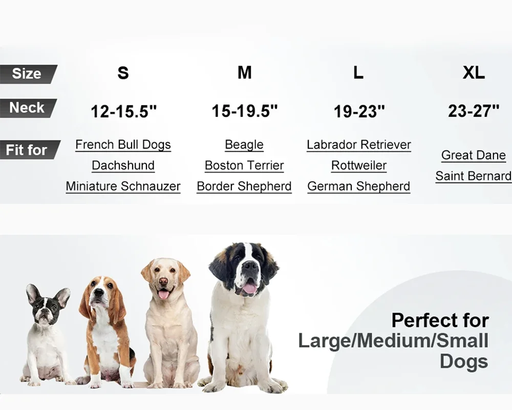 The Guardian Comfort Collar