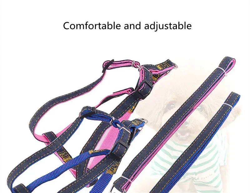 Sparkle Denim Harness & Leash – Adventure Ready!