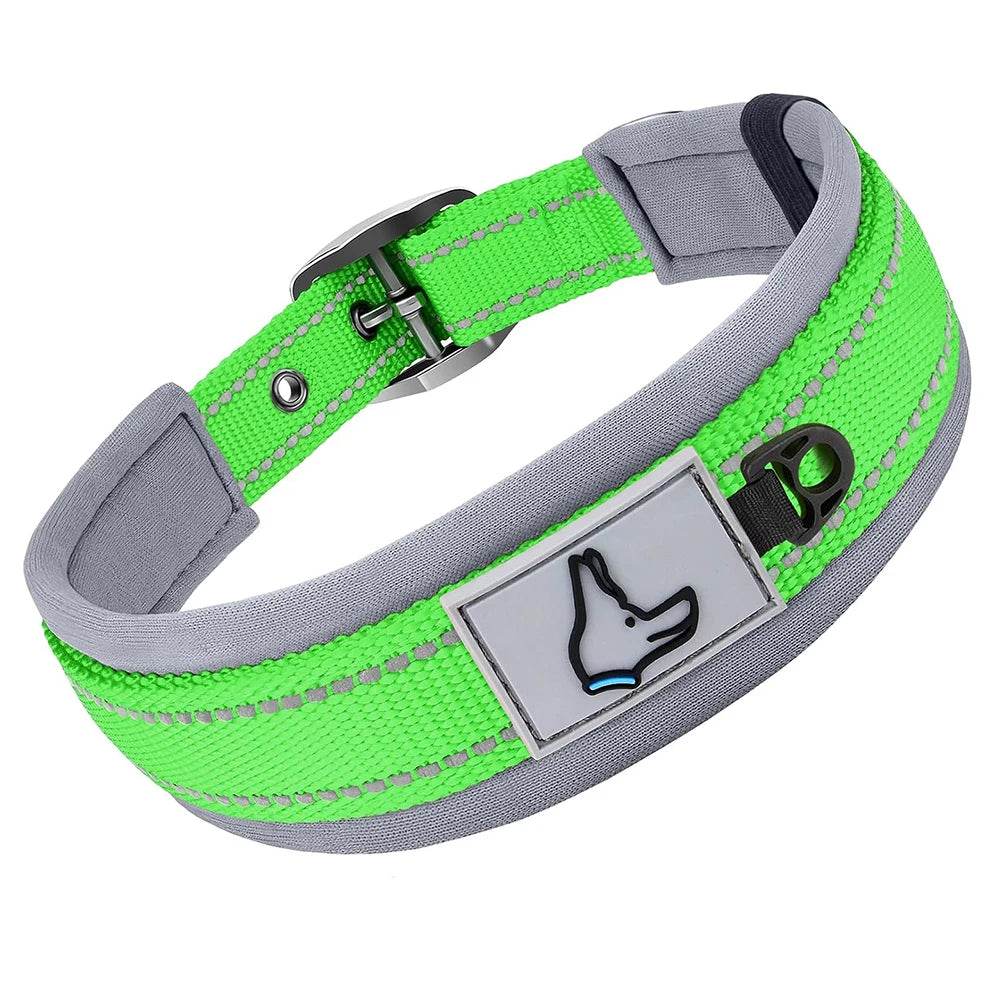 The Guardian Comfort Collar