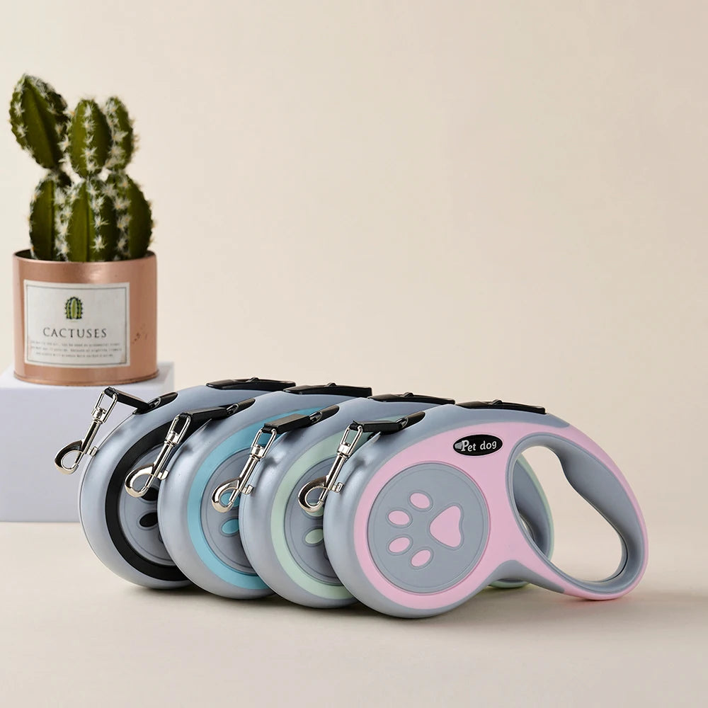 Set of retractable dog leashes in various colors on a neutral background with a cactus plant.