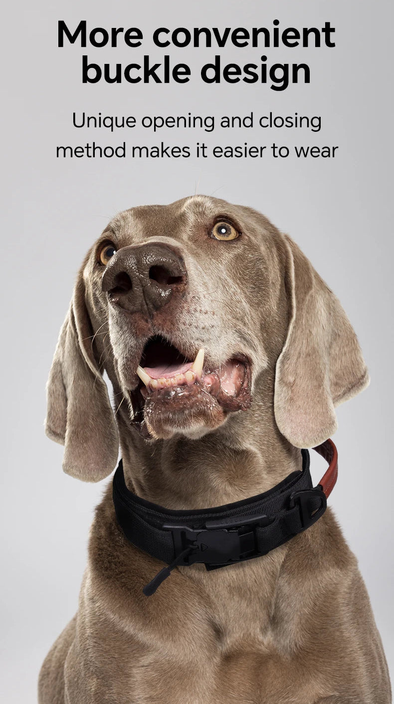 Snap-Lock Magnetic Collar