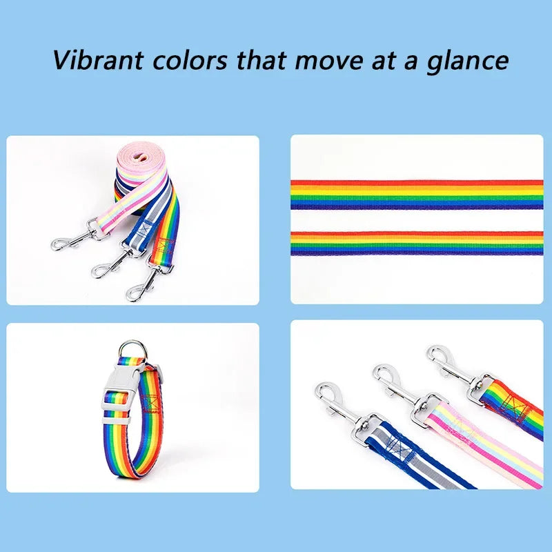 Colorful lanyards and dog leashes with vibrant colors on a blue background