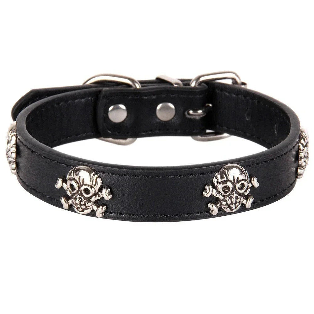 Black leather dog collar with skull designs on a white background