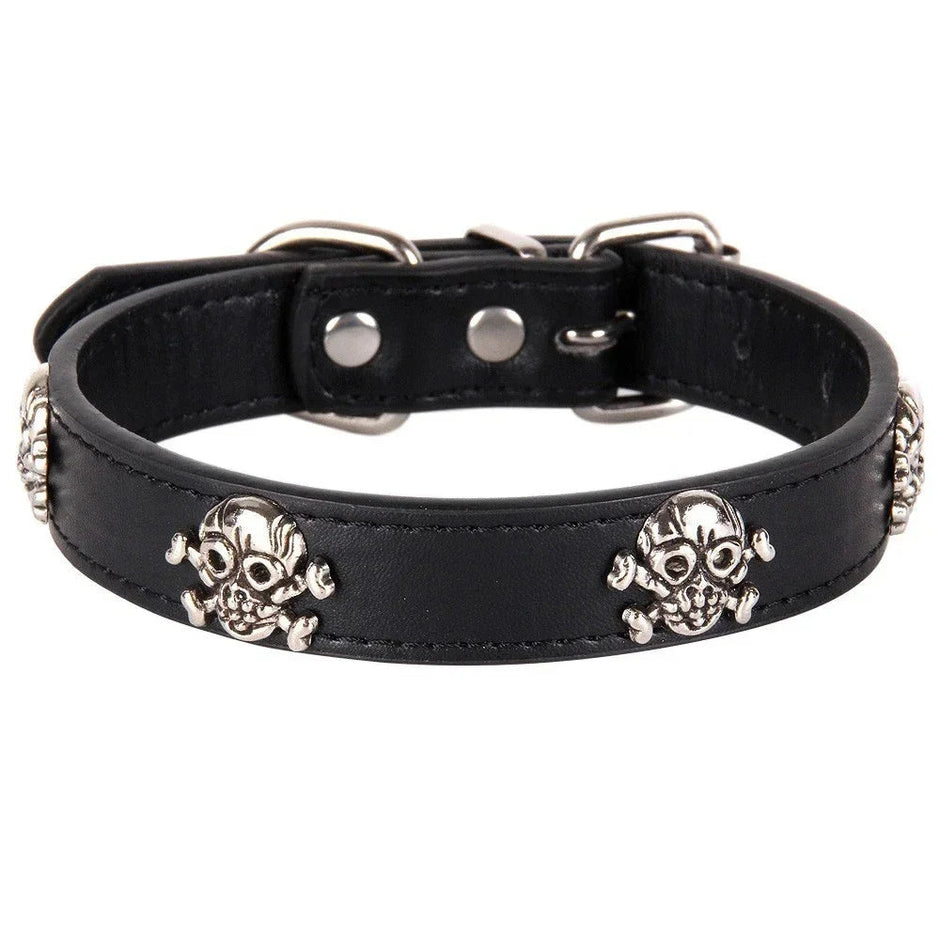Black leather dog collar with skull designs on a white background