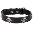 Black leather dog collar with skull designs on a white background