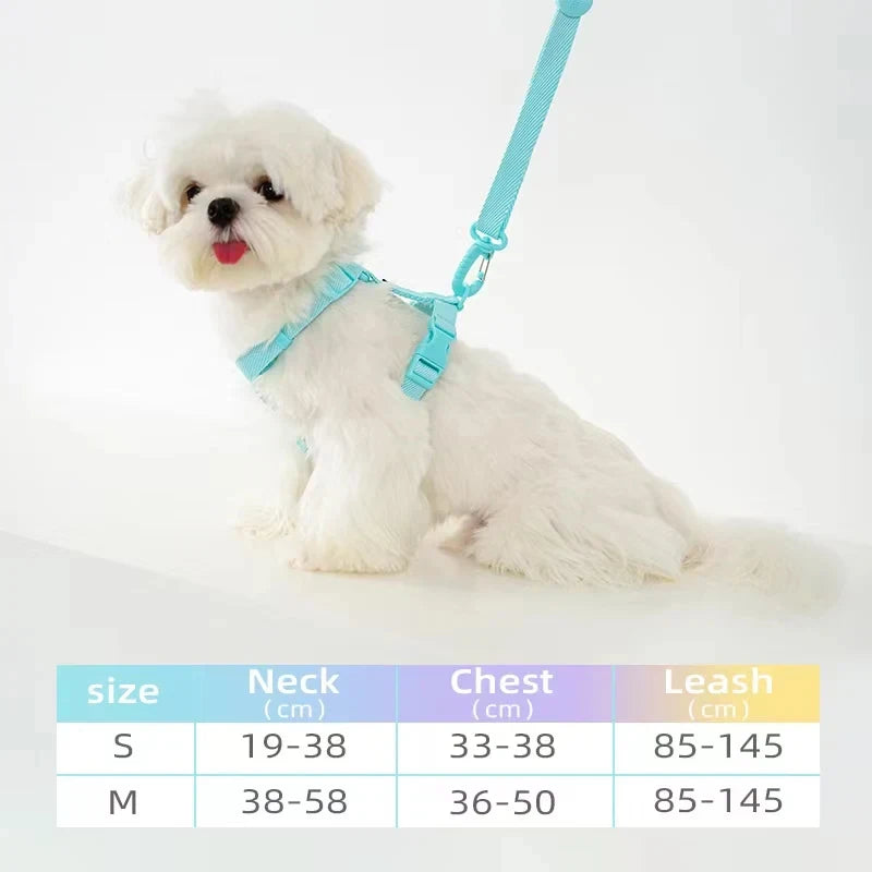 White dog wearing a blue harness and leash with size chart on a white background
