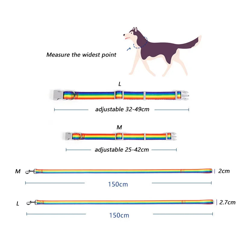 Measurement chart for rainbow dog collars with a dog illustration.
