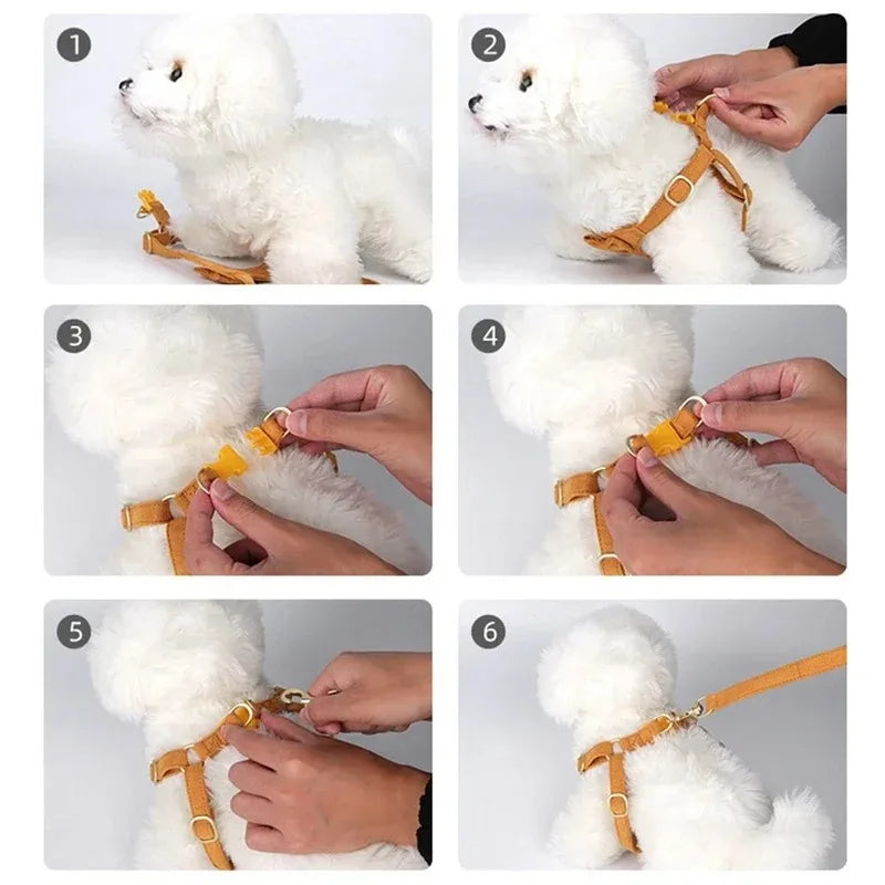 (No Pull | No Escape) 3-Point Dog Harness Vest