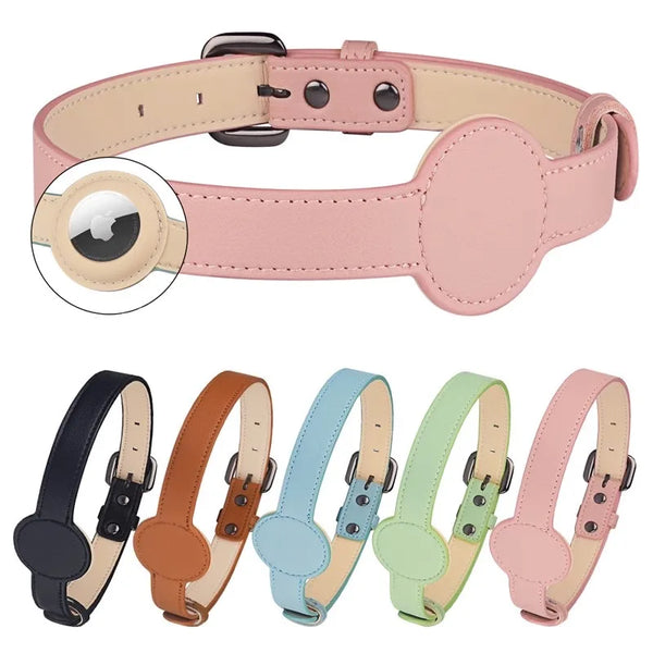 Pink leather dog collar with close-up of buckle and five other colored collars below on a white background.