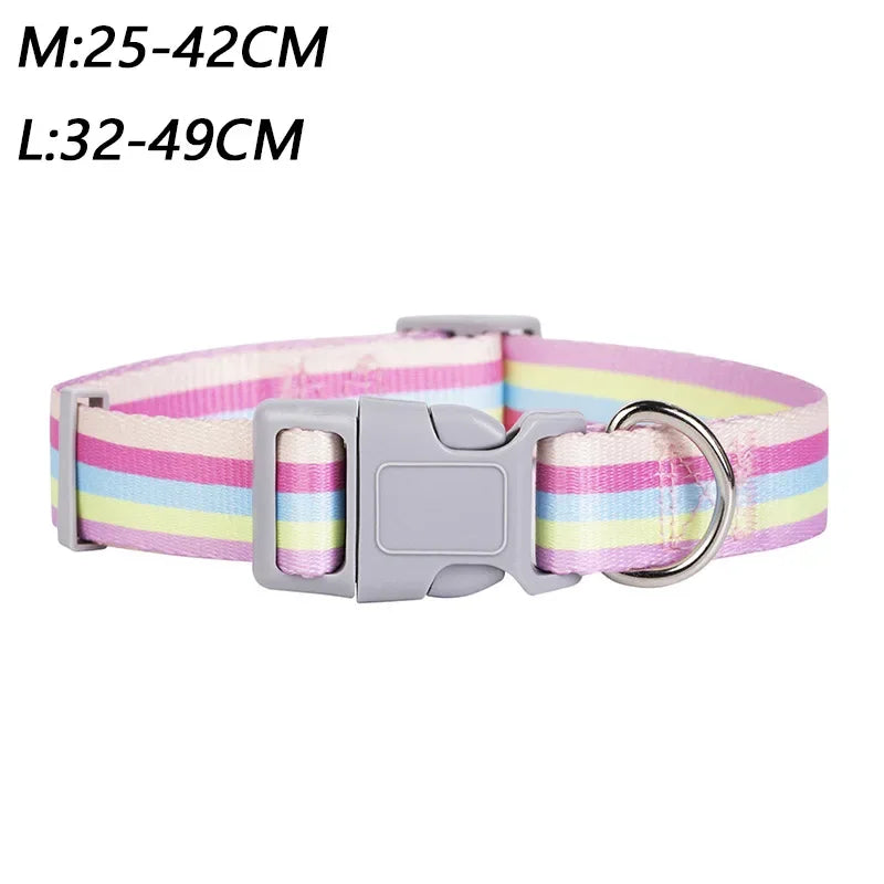 Dog collar with pastel striped pattern and gray buckle on a white background
