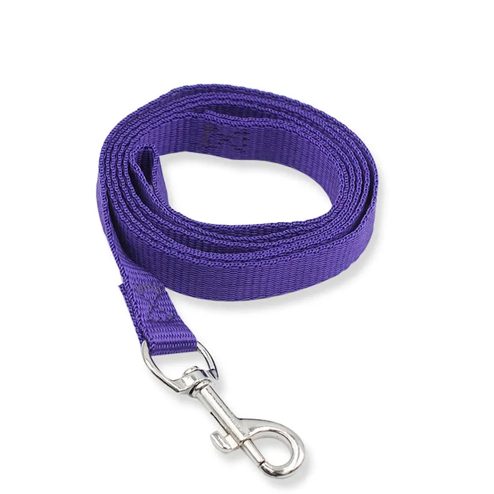 Purple dog leash with a metal clip on a white background