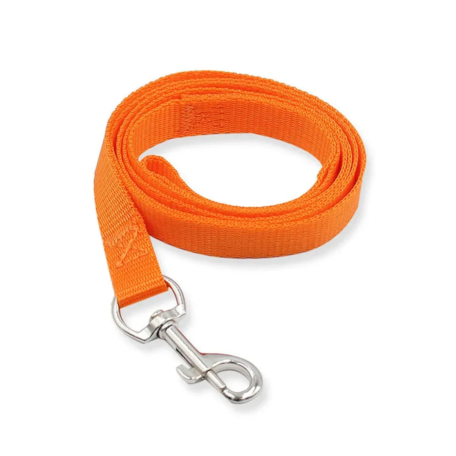 Orange dog leash with a metal clip on a white background