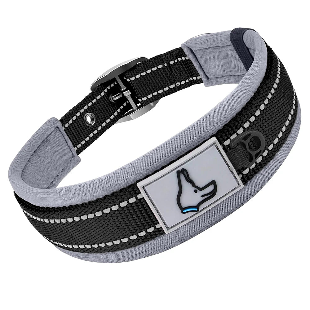 The Guardian Comfort Collar