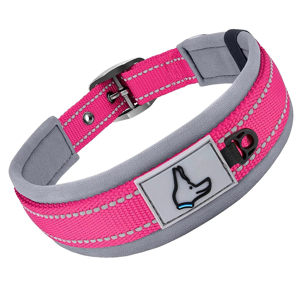 The Guardian Comfort Collar