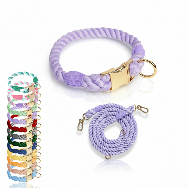 Set of colorful braided leashes with gold clasp