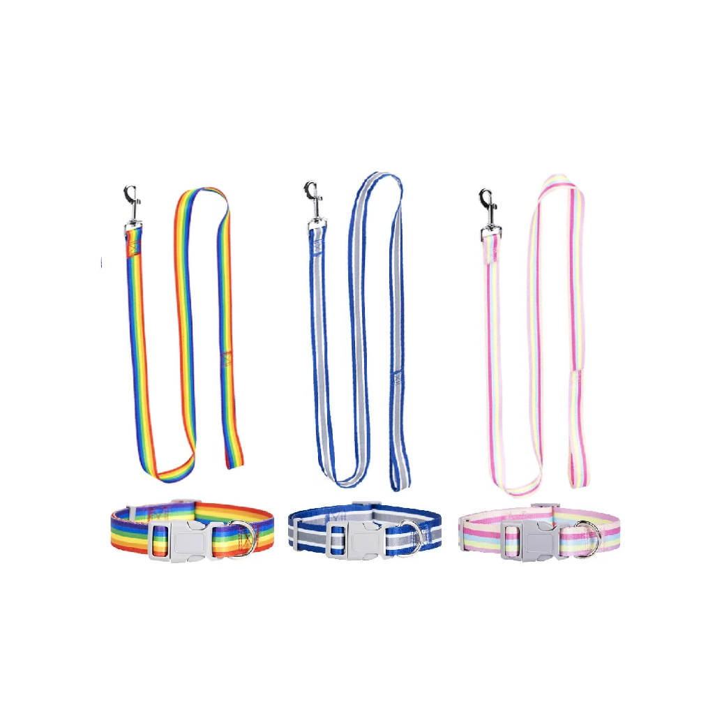 Set of colorful dog collars and leashes on a white background