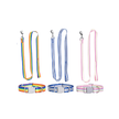 Set of colorful dog collars and leashes on a white background