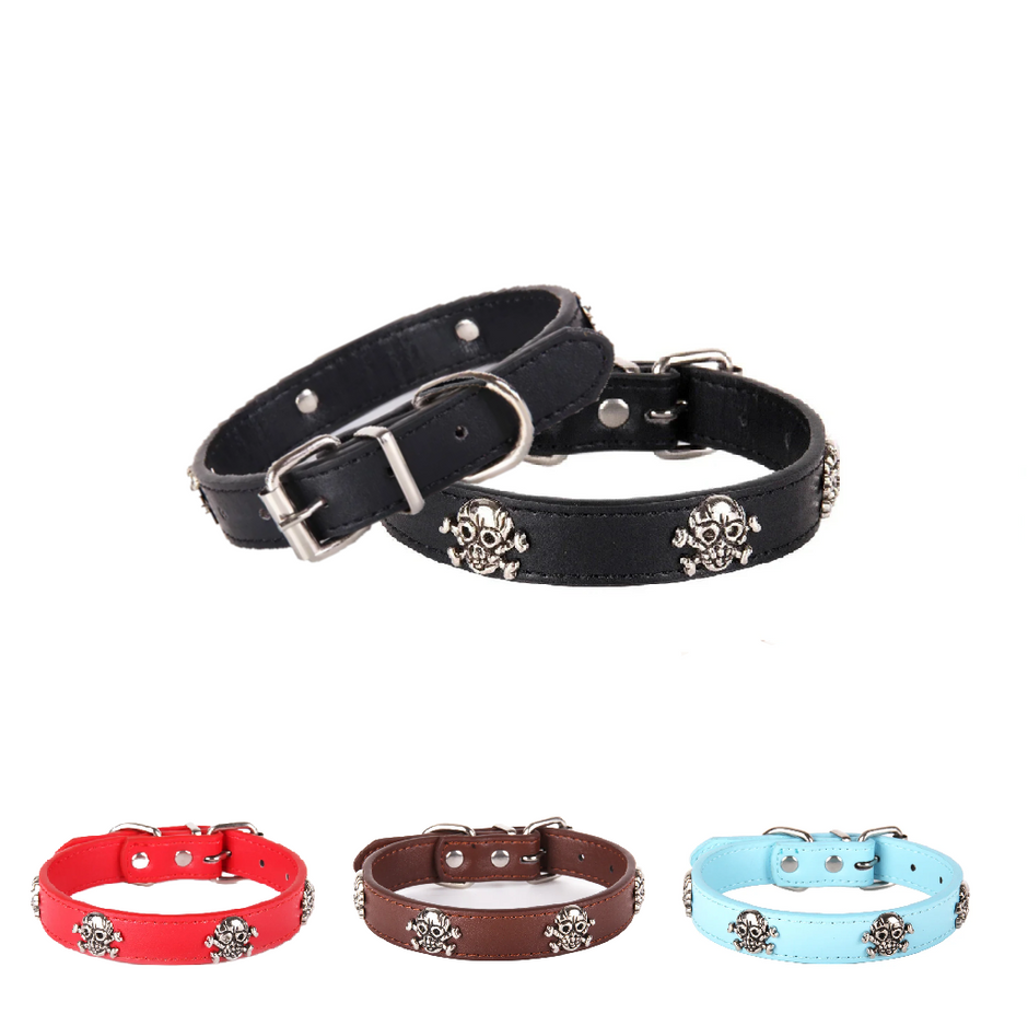 Set of four leather dog collars in black, red, brown, and blue with skull designs on a white background.