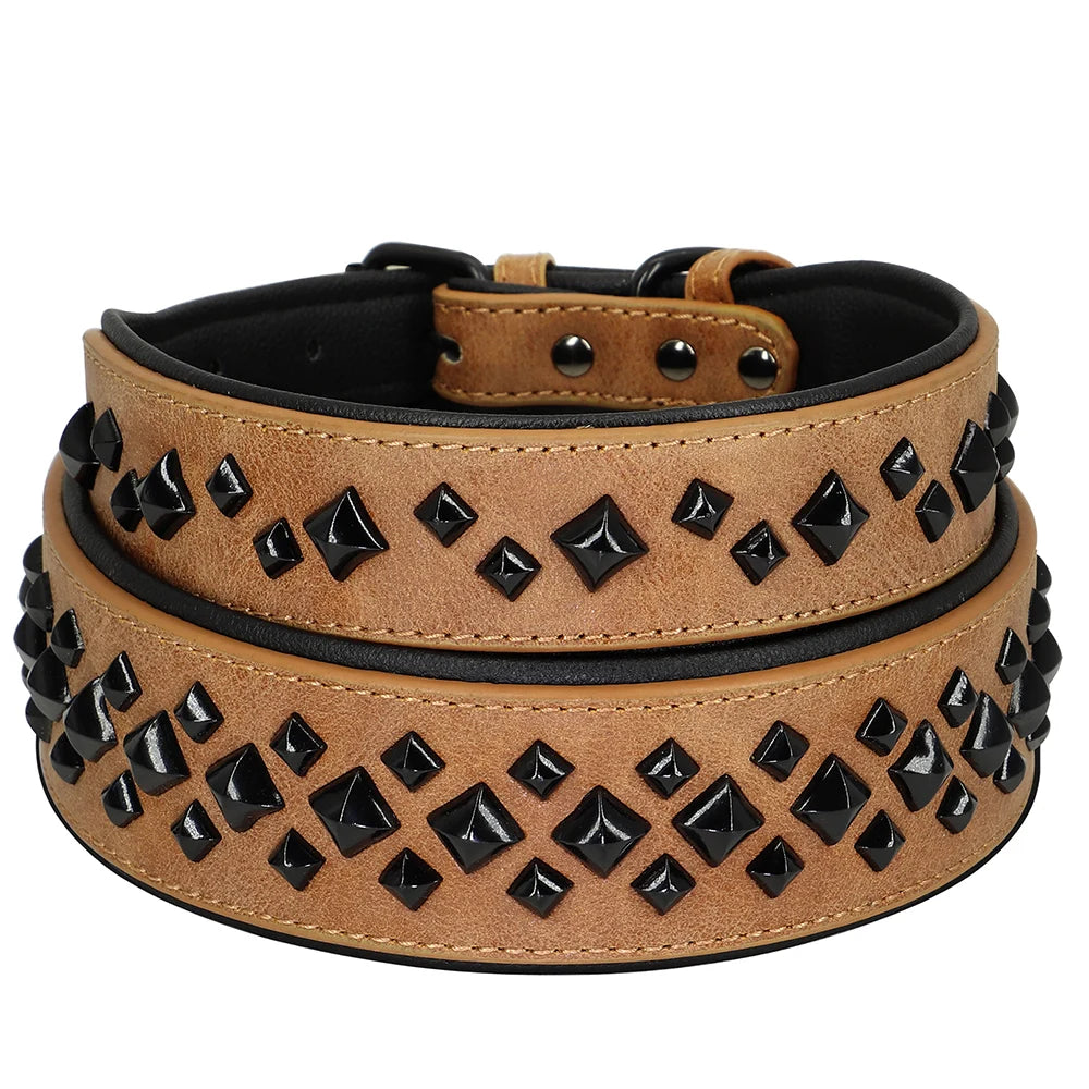 The Guardian Spiked Collar | for Large & XL Breed Dogs